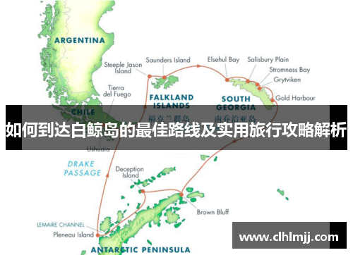 如何到达白鲸岛的最佳路线及实用旅行攻略解析