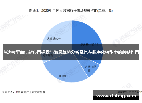 考达拉平台创新应用探索与发展趋势分析及其在数字化转型中的关键作用